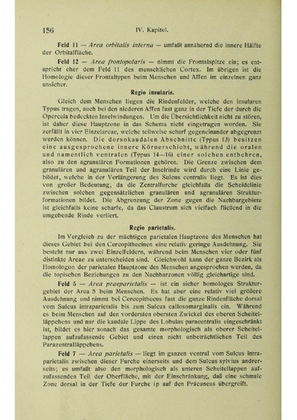 Vergleichende Lokalisationslehre der Grosshirnrinde in ihren Prinzipien dargestellt auf Grund des Zellenbaues.pdf