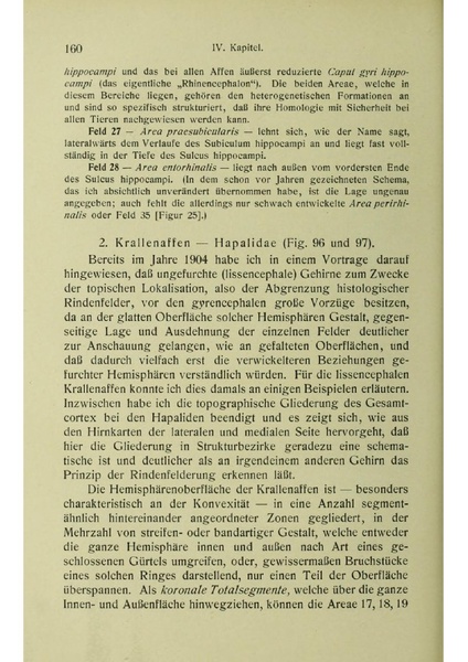 Vergleichende Lokalisationslehre der Grosshirnrinde in ihren Prinzipien dargestellt auf Grund des Zellenbaues.pdf