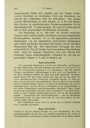 Vergleichende Lokalisationslehre der Grosshirnrinde in ihren Prinzipien dargestellt auf Grund des Zellenbaues.pdf