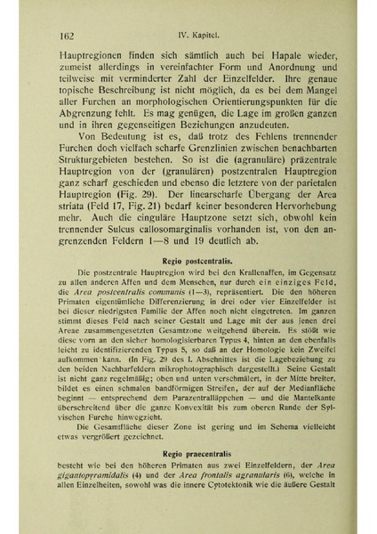 Vergleichende Lokalisationslehre der Grosshirnrinde in ihren Prinzipien dargestellt auf Grund des Zellenbaues.pdf