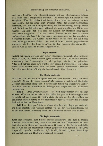 Vergleichende Lokalisationslehre der Grosshirnrinde in ihren Prinzipien dargestellt auf Grund des Zellenbaues.pdf