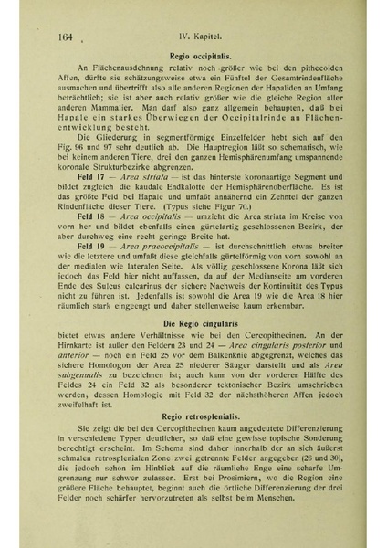 Vergleichende Lokalisationslehre der Grosshirnrinde in ihren Prinzipien dargestellt auf Grund des Zellenbaues.pdf