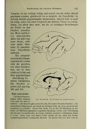 Vergleichende Lokalisationslehre der Grosshirnrinde in ihren Prinzipien dargestellt auf Grund des Zellenbaues.pdf
