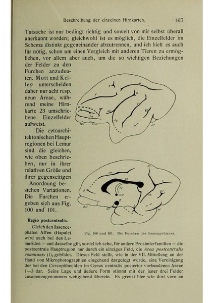 Vergleichende Lokalisationslehre der Grosshirnrinde in ihren Prinzipien dargestellt auf Grund des Zellenbaues.pdf