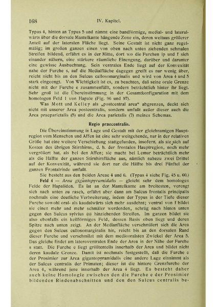Vergleichende Lokalisationslehre der Grosshirnrinde in ihren Prinzipien dargestellt auf Grund des Zellenbaues.pdf
