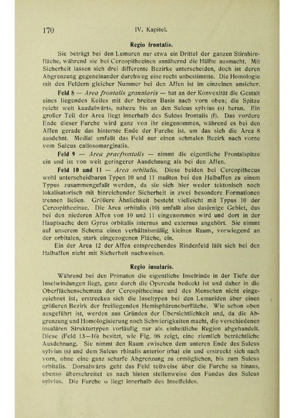Vergleichende Lokalisationslehre der Grosshirnrinde in ihren Prinzipien dargestellt auf Grund des Zellenbaues.pdf