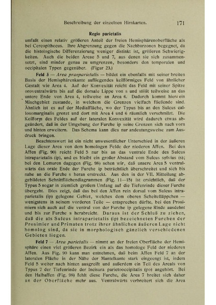 Vergleichende Lokalisationslehre der Grosshirnrinde in ihren Prinzipien dargestellt auf Grund des Zellenbaues.pdf