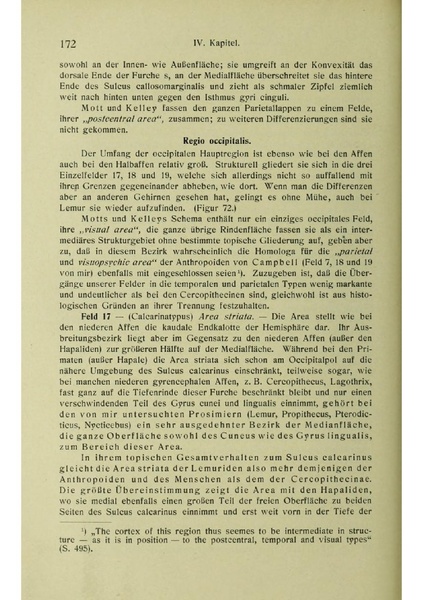 Vergleichende Lokalisationslehre der Grosshirnrinde in ihren Prinzipien dargestellt auf Grund des Zellenbaues.pdf
