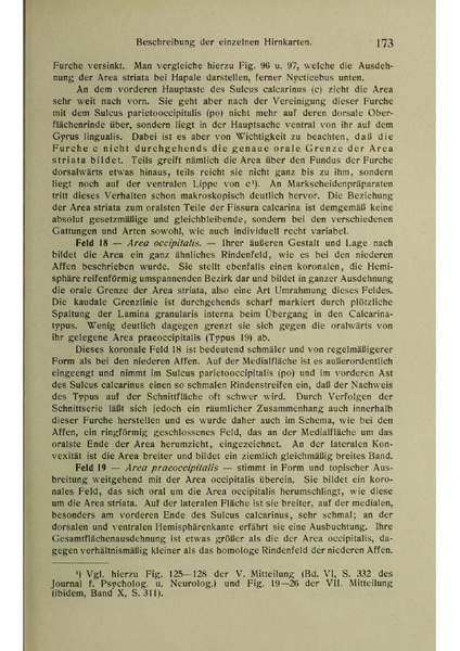Vergleichende Lokalisationslehre der Grosshirnrinde in ihren Prinzipien dargestellt auf Grund des Zellenbaues.pdf