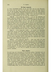 Vergleichende Lokalisationslehre der Grosshirnrinde in ihren Prinzipien dargestellt auf Grund des Zellenbaues.pdf