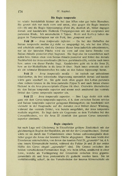 Vergleichende Lokalisationslehre der Grosshirnrinde in ihren Prinzipien dargestellt auf Grund des Zellenbaues.pdf