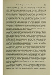 Vergleichende Lokalisationslehre der Grosshirnrinde in ihren Prinzipien dargestellt auf Grund des Zellenbaues.pdf