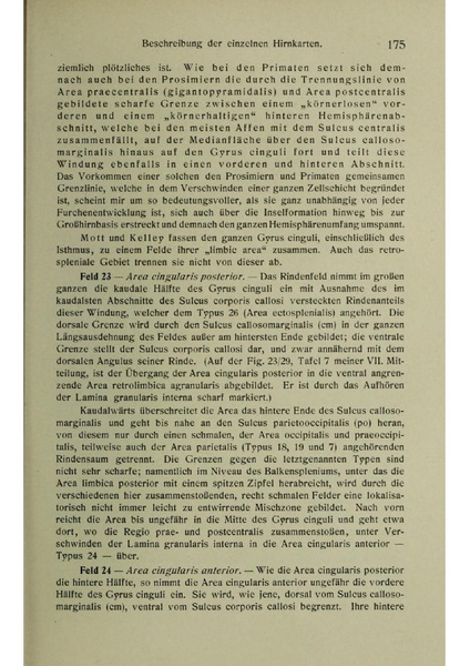 Vergleichende Lokalisationslehre der Grosshirnrinde in ihren Prinzipien dargestellt auf Grund des Zellenbaues.pdf