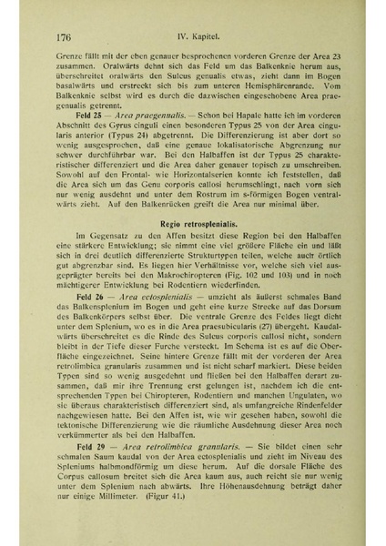 Vergleichende Lokalisationslehre der Grosshirnrinde in ihren Prinzipien dargestellt auf Grund des Zellenbaues.pdf