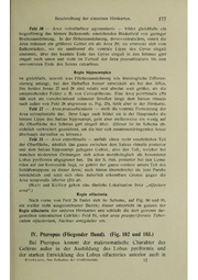 Vergleichende Lokalisationslehre der Grosshirnrinde in ihren Prinzipien dargestellt auf Grund des Zellenbaues.pdf