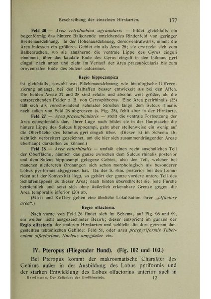 Vergleichende Lokalisationslehre der Grosshirnrinde in ihren Prinzipien dargestellt auf Grund des Zellenbaues.pdf