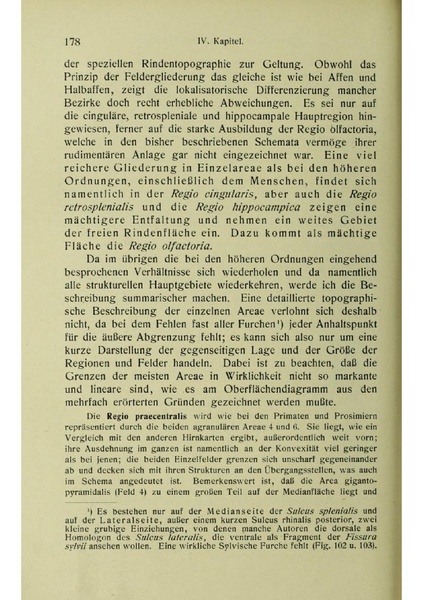 Vergleichende Lokalisationslehre der Grosshirnrinde in ihren Prinzipien dargestellt auf Grund des Zellenbaues.pdf