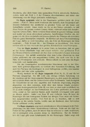 Vergleichende Lokalisationslehre der Grosshirnrinde in ihren Prinzipien dargestellt auf Grund des Zellenbaues.pdf