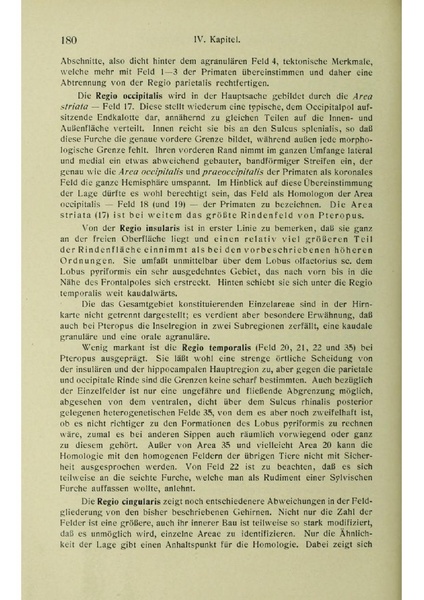 Vergleichende Lokalisationslehre der Grosshirnrinde in ihren Prinzipien dargestellt auf Grund des Zellenbaues.pdf