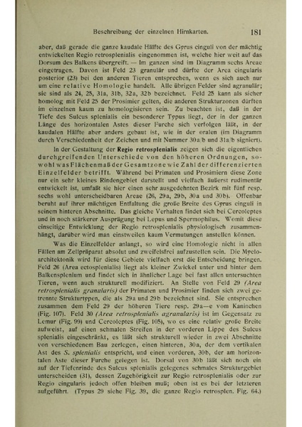 Vergleichende Lokalisationslehre der Grosshirnrinde in ihren Prinzipien dargestellt auf Grund des Zellenbaues.pdf