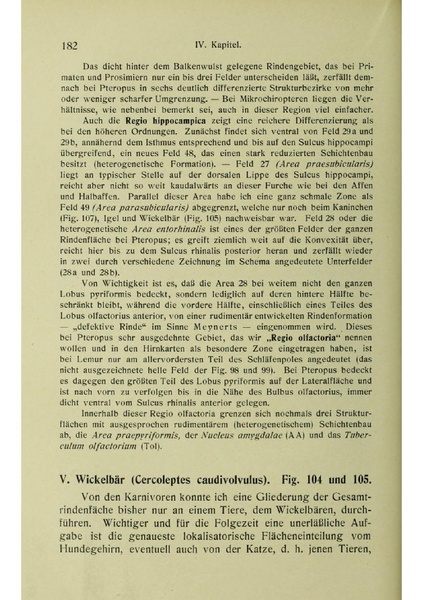 Vergleichende Lokalisationslehre der Grosshirnrinde in ihren Prinzipien dargestellt auf Grund des Zellenbaues.pdf