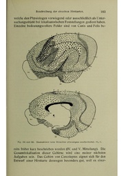 Vergleichende Lokalisationslehre der Grosshirnrinde in ihren Prinzipien dargestellt auf Grund des Zellenbaues.pdf