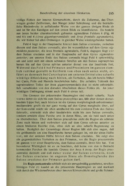 Vergleichende Lokalisationslehre der Grosshirnrinde in ihren Prinzipien dargestellt auf Grund des Zellenbaues.pdf