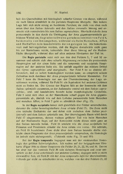 Vergleichende Lokalisationslehre der Grosshirnrinde in ihren Prinzipien dargestellt auf Grund des Zellenbaues.pdf