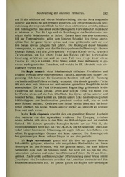 Vergleichende Lokalisationslehre der Grosshirnrinde in ihren Prinzipien dargestellt auf Grund des Zellenbaues.pdf