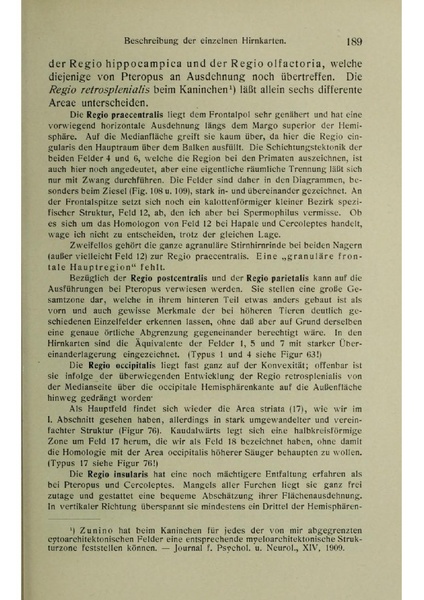 Vergleichende Lokalisationslehre der Grosshirnrinde in ihren Prinzipien dargestellt auf Grund des Zellenbaues.pdf