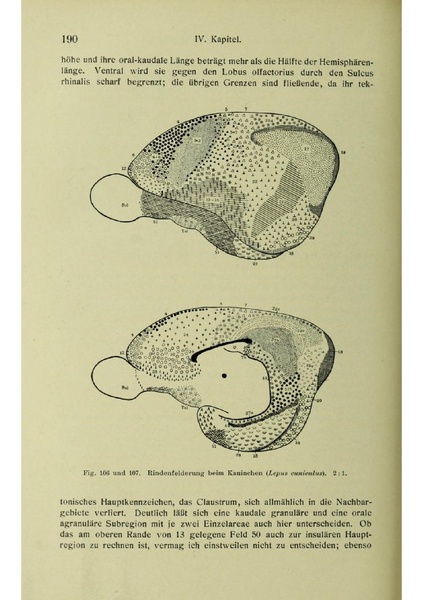 Vergleichende Lokalisationslehre der Grosshirnrinde in ihren Prinzipien dargestellt auf Grund des Zellenbaues.pdf