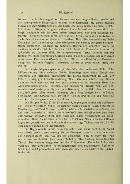 Vergleichende Lokalisationslehre der Grosshirnrinde in ihren Prinzipien dargestellt auf Grund des Zellenbaues.pdf