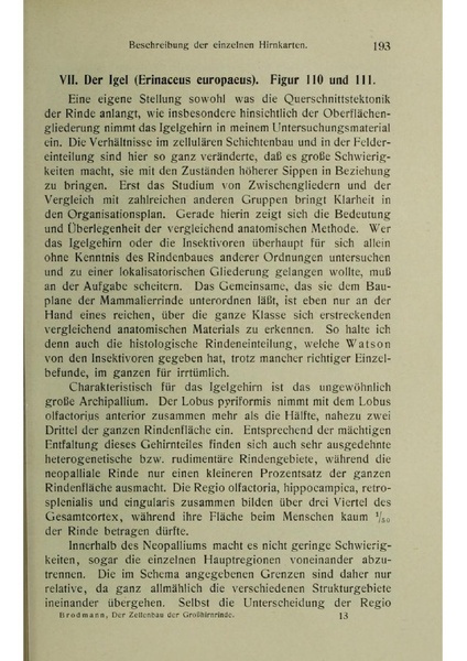 Vergleichende Lokalisationslehre der Grosshirnrinde in ihren Prinzipien dargestellt auf Grund des Zellenbaues.pdf
