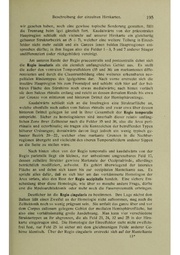 Vergleichende Lokalisationslehre der Grosshirnrinde in ihren Prinzipien dargestellt auf Grund des Zellenbaues.pdf