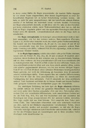 Vergleichende Lokalisationslehre der Grosshirnrinde in ihren Prinzipien dargestellt auf Grund des Zellenbaues.pdf