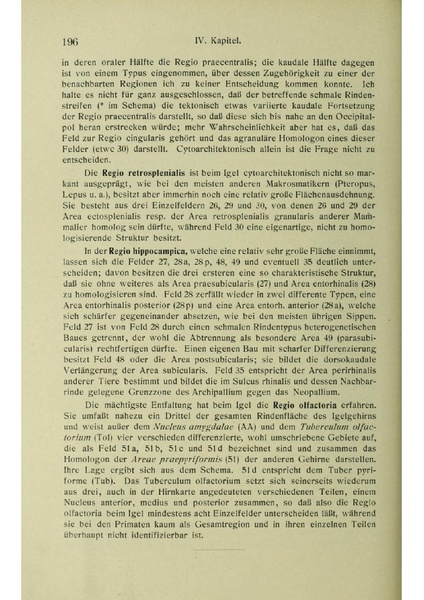 Vergleichende Lokalisationslehre der Grosshirnrinde in ihren Prinzipien dargestellt auf Grund des Zellenbaues.pdf
