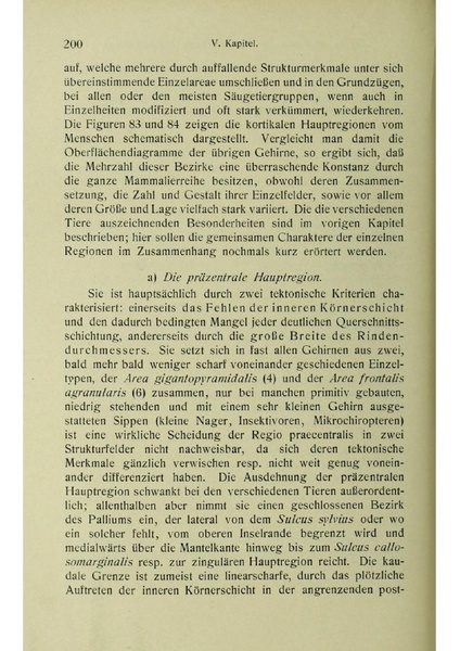 Vergleichende Lokalisationslehre der Grosshirnrinde in ihren Prinzipien dargestellt auf Grund des Zellenbaues.pdf