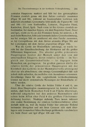 Vergleichende Lokalisationslehre der Grosshirnrinde in ihren Prinzipien dargestellt auf Grund des Zellenbaues.pdf