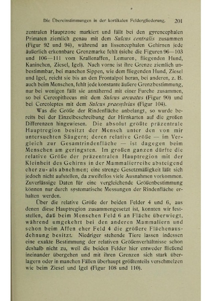 Vergleichende Lokalisationslehre der Grosshirnrinde in ihren Prinzipien dargestellt auf Grund des Zellenbaues.pdf