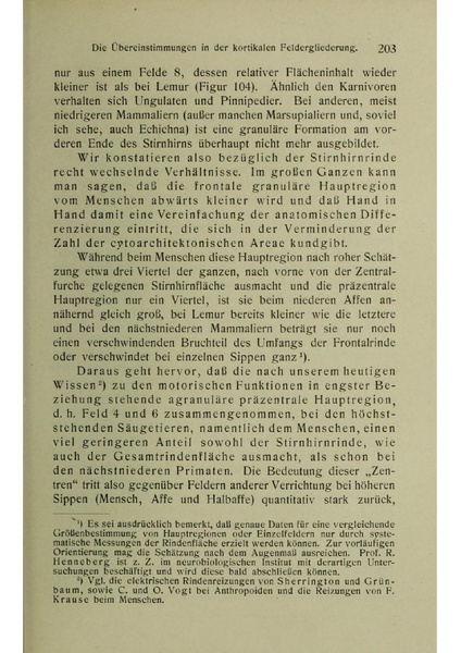Vergleichende Lokalisationslehre der Grosshirnrinde in ihren Prinzipien dargestellt auf Grund des Zellenbaues.pdf