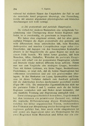 Vergleichende Lokalisationslehre der Grosshirnrinde in ihren Prinzipien dargestellt auf Grund des Zellenbaues.pdf