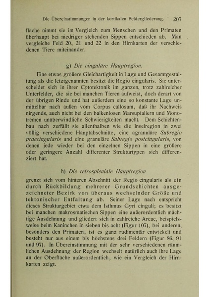 Vergleichende Lokalisationslehre der Grosshirnrinde in ihren Prinzipien dargestellt auf Grund des Zellenbaues.pdf
