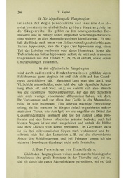 Vergleichende Lokalisationslehre der Grosshirnrinde in ihren Prinzipien dargestellt auf Grund des Zellenbaues.pdf