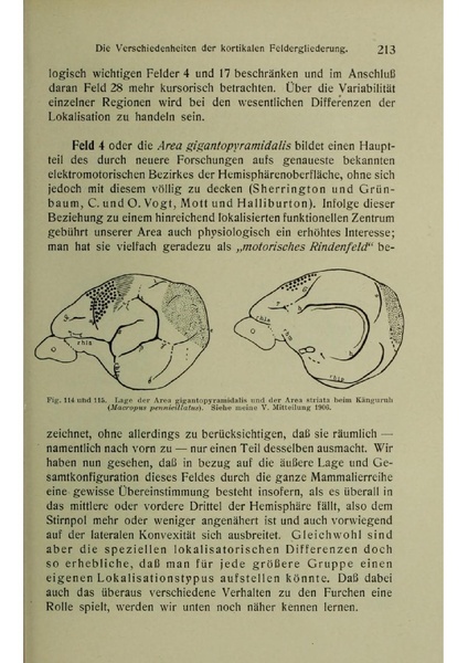 Vergleichende Lokalisationslehre der Grosshirnrinde in ihren Prinzipien dargestellt auf Grund des Zellenbaues.pdf