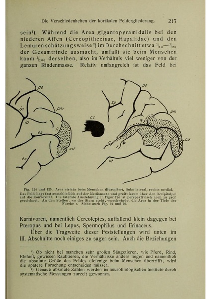 Vergleichende Lokalisationslehre der Grosshirnrinde in ihren Prinzipien dargestellt auf Grund des Zellenbaues.pdf