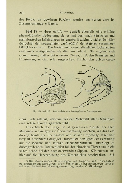 Vergleichende Lokalisationslehre der Grosshirnrinde in ihren Prinzipien dargestellt auf Grund des Zellenbaues.pdf