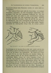 Vergleichende Lokalisationslehre der Grosshirnrinde in ihren Prinzipien dargestellt auf Grund des Zellenbaues.pdf