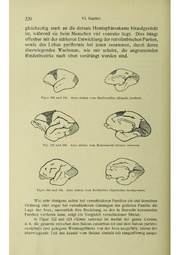 Vergleichende Lokalisationslehre der Grosshirnrinde in ihren Prinzipien dargestellt auf Grund des Zellenbaues.pdf