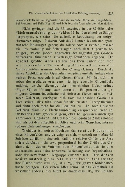 Vergleichende Lokalisationslehre der Grosshirnrinde in ihren Prinzipien dargestellt auf Grund des Zellenbaues.pdf