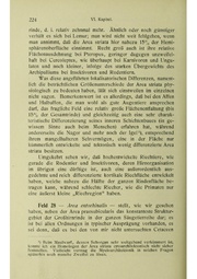Vergleichende Lokalisationslehre der Grosshirnrinde in ihren Prinzipien dargestellt auf Grund des Zellenbaues.pdf